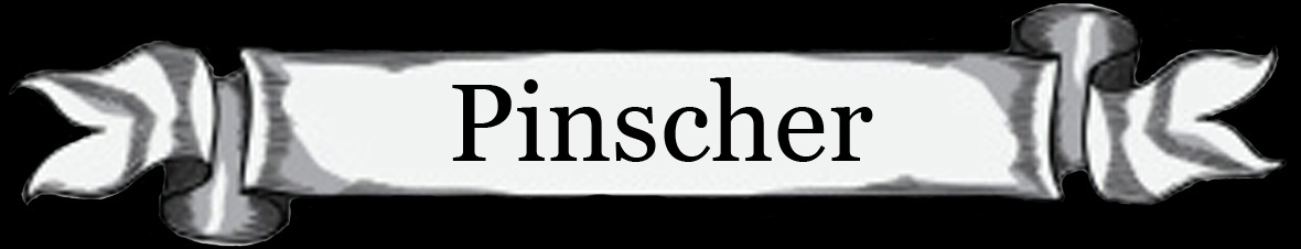 Pinscher * Valpar planeras våren 2023